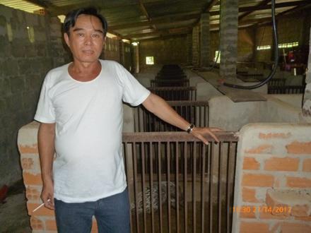 Làm giàu trên đảo